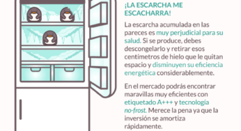 #VeranoEficiente: Cómo utilizar tu frigorífico de forma eficiente II