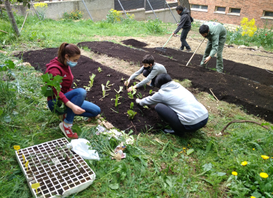 segovia for the climate sowing the future