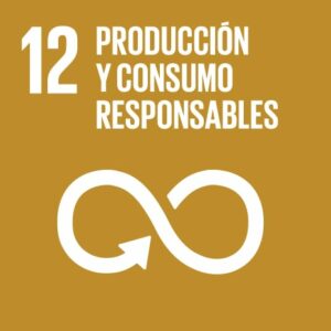 Objetivo desarrollo sostenible 12: producción y consumo responsables
