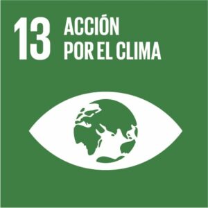 Objetivo desarrollo sostenible 13: acción por el clima
