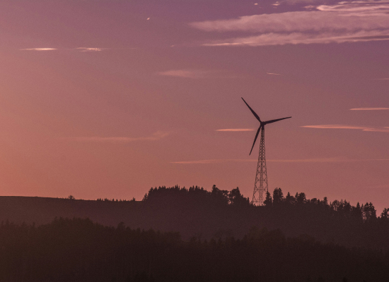 Foto de bert b en Unsplash