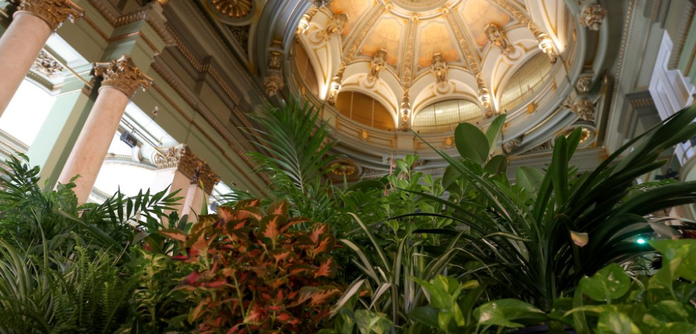 Ejemplo de refugio clim&aacute;tico en el C&iacute;rculo de Bellas Artes (Madrid)